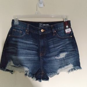No Boundaries Destructed  Shorts